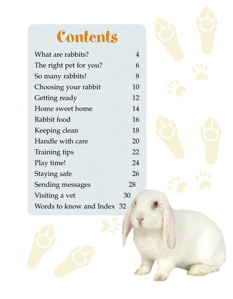 Rabbits (Pet Care) book cover