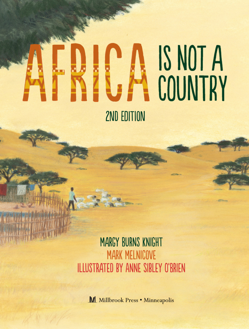Africa Is Not a Country, 2nd Edition book cover