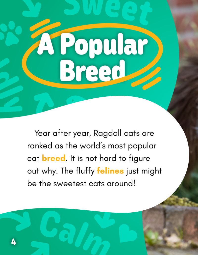 Hello Kitty Cats! Ragdolls — page 1
