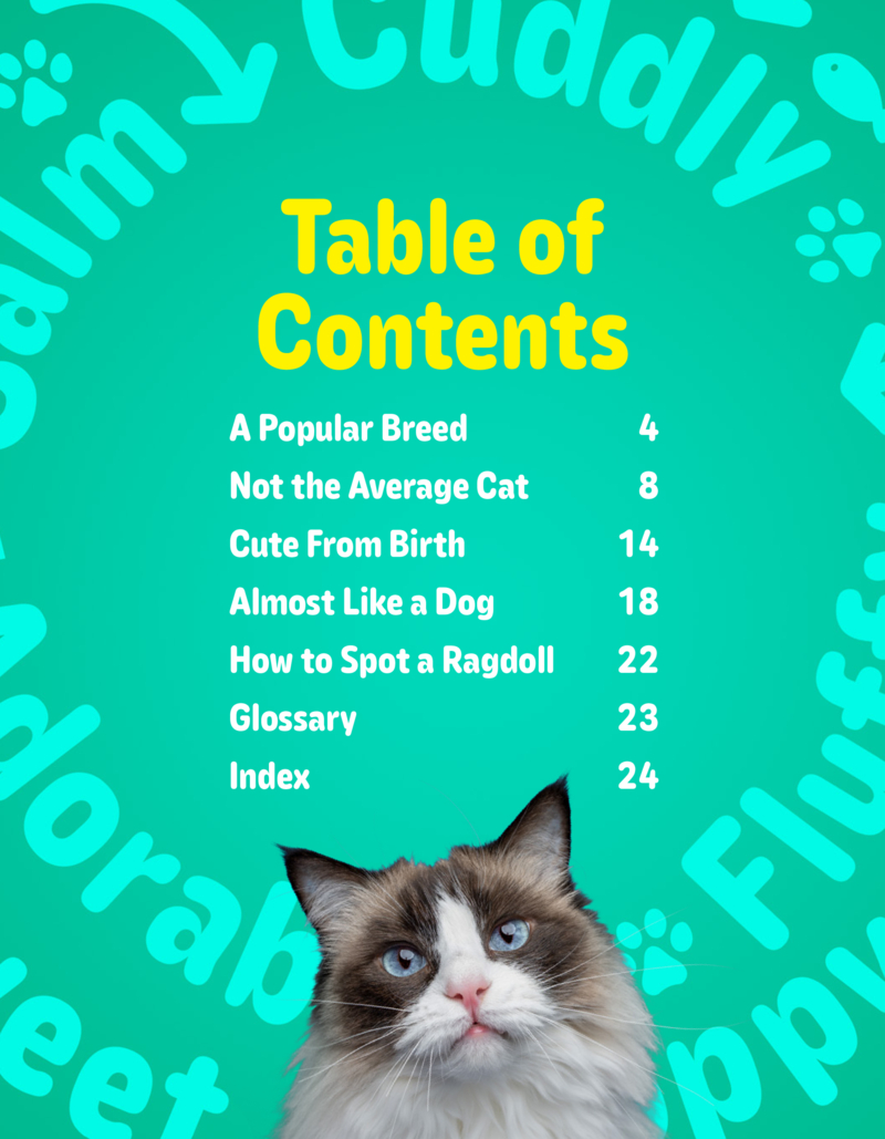 Hello Kitty Cats! Ragdolls book cover