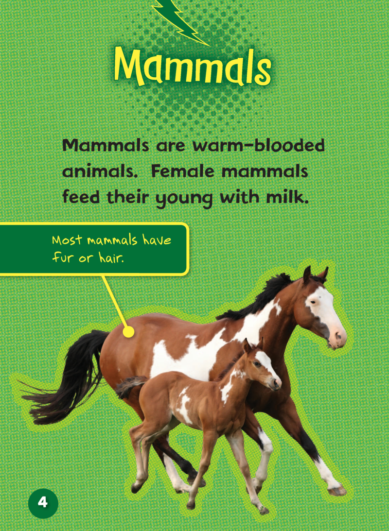 Endangered and Extinct Mammals — page 1