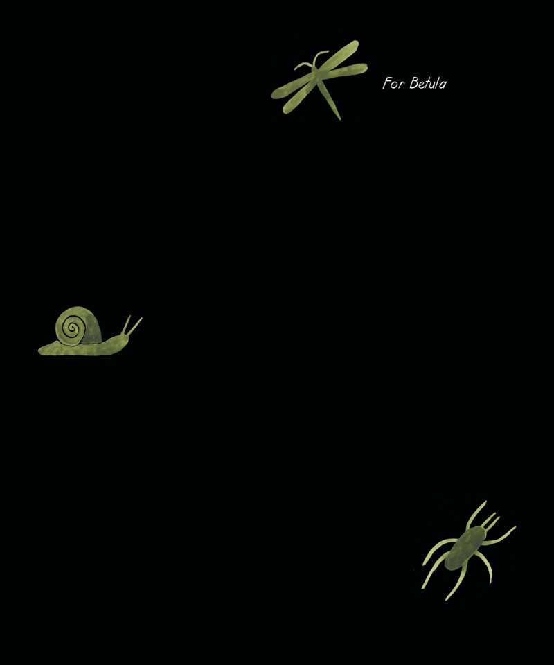 Bog Myrtle — page 1