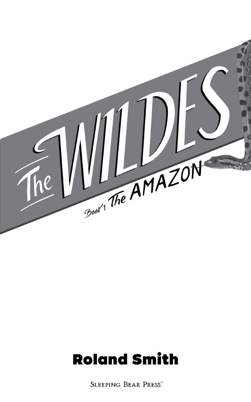 The Wildes: The Amazon book cover