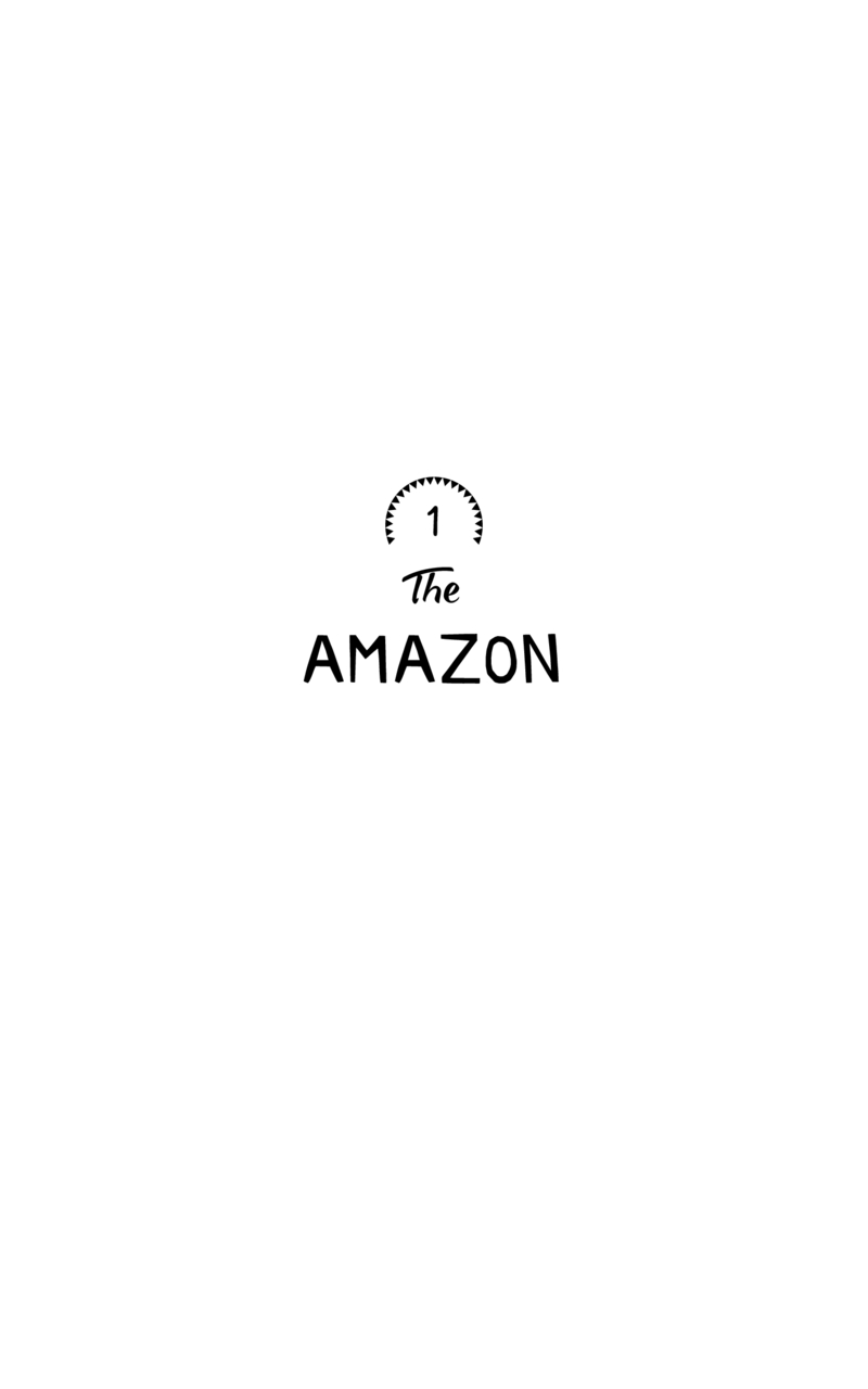 The Wildes: The Amazon — page 1