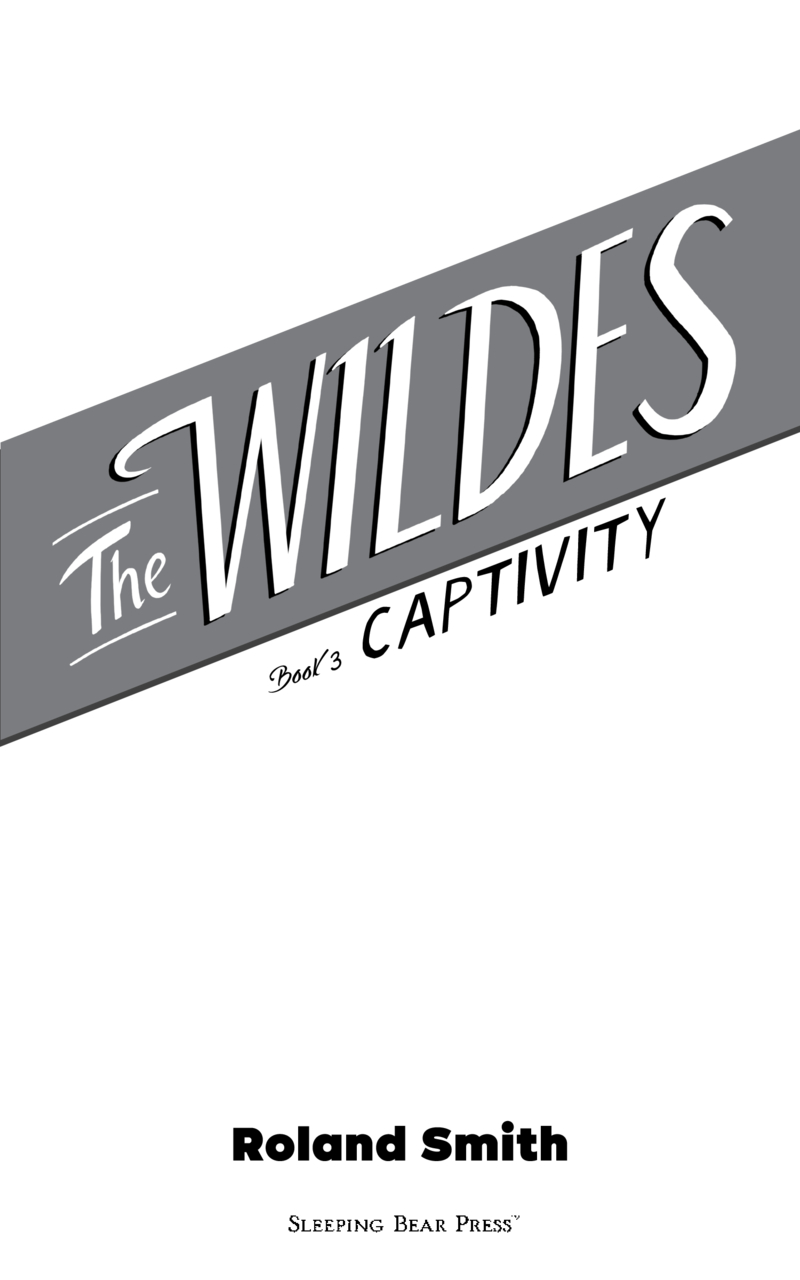 The Wildes: Captivity book cover