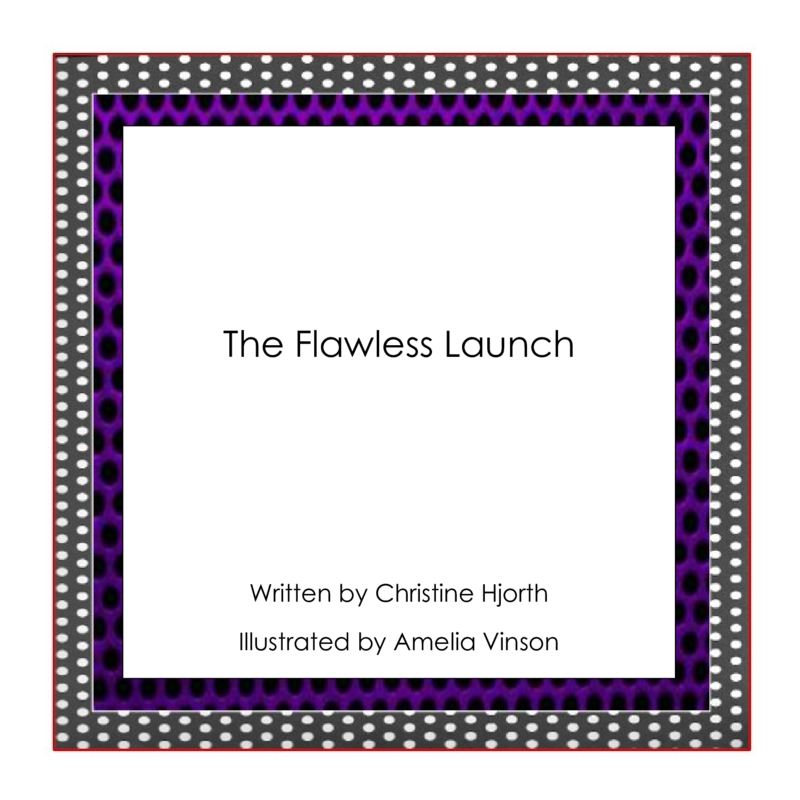 The Flawless Launch book cover