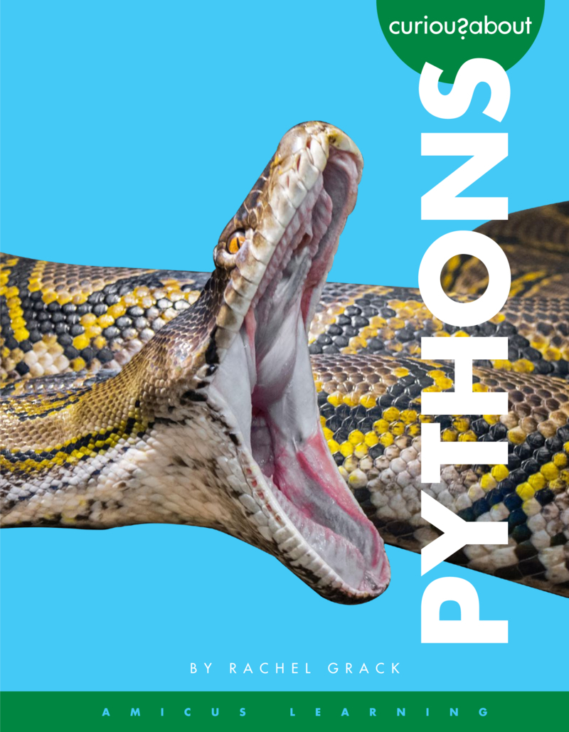 Curious about Pythons book cover