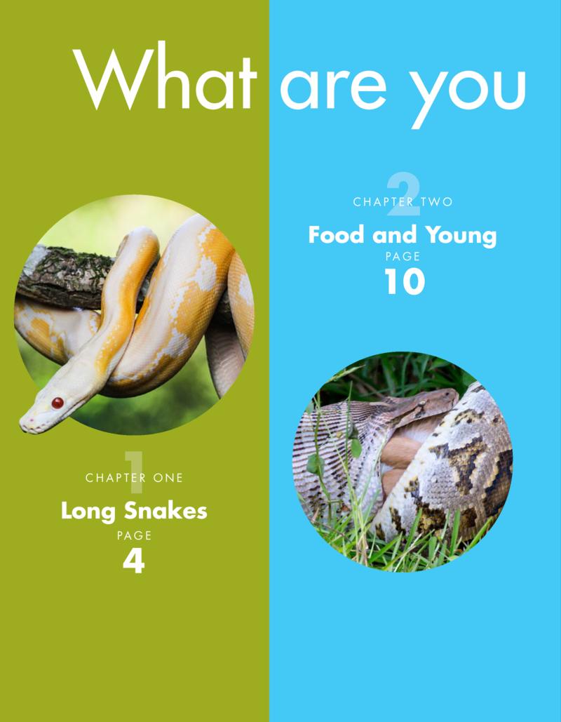Curious about Pythons — page 1