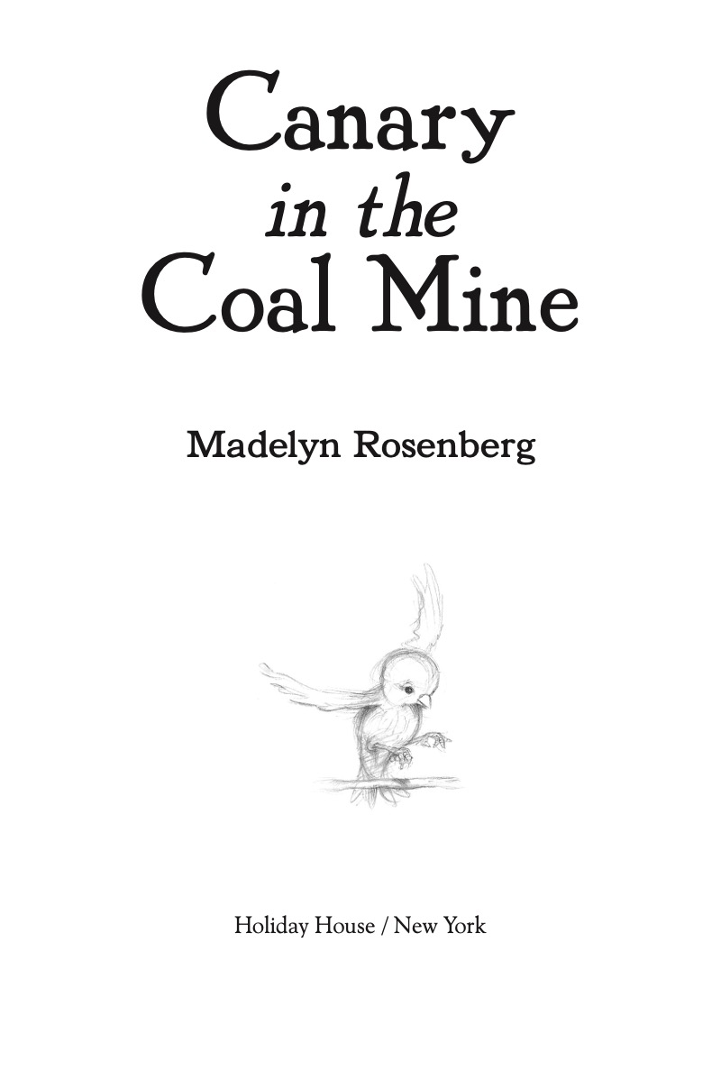 Canary in the Coal Mine book cover