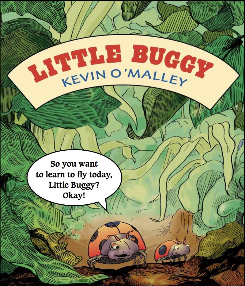 Little Buggy book cover