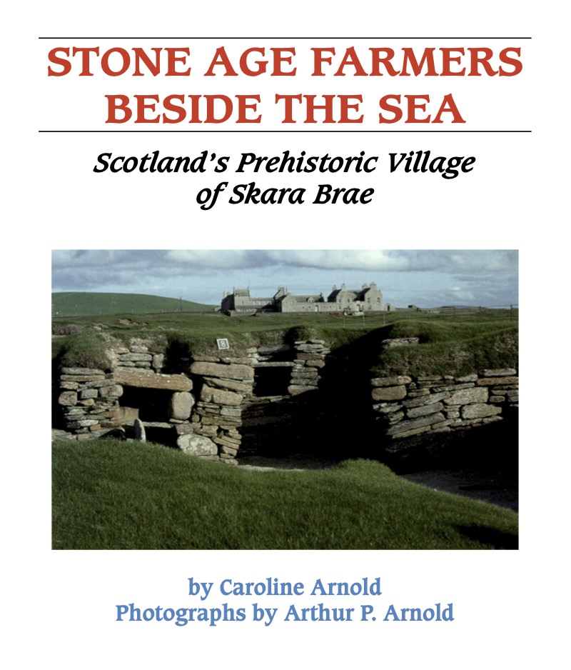 Stone Age Farmers Beside The Sea: Scotland's Prehistoric Village of Skara Brae book cover