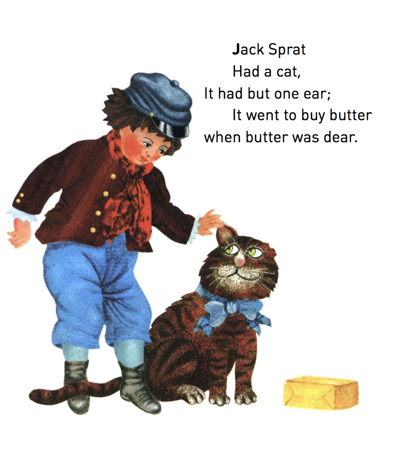 Cat And Mouse book cover