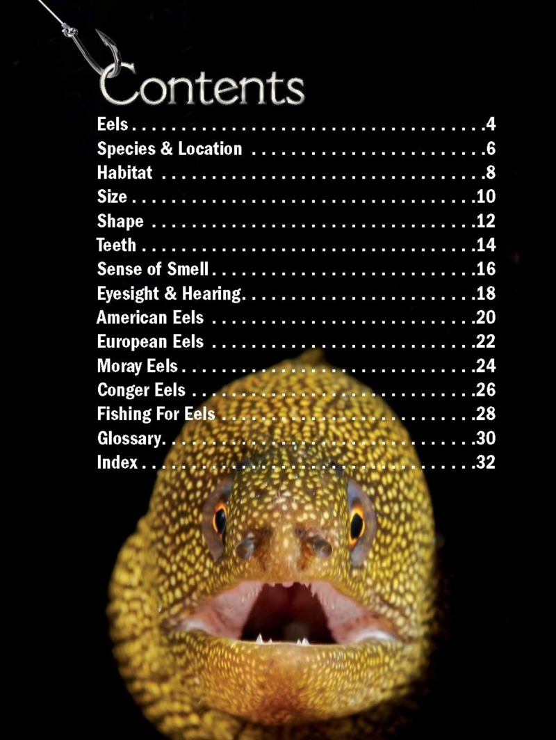 Xtreme Fish: Eels book cover