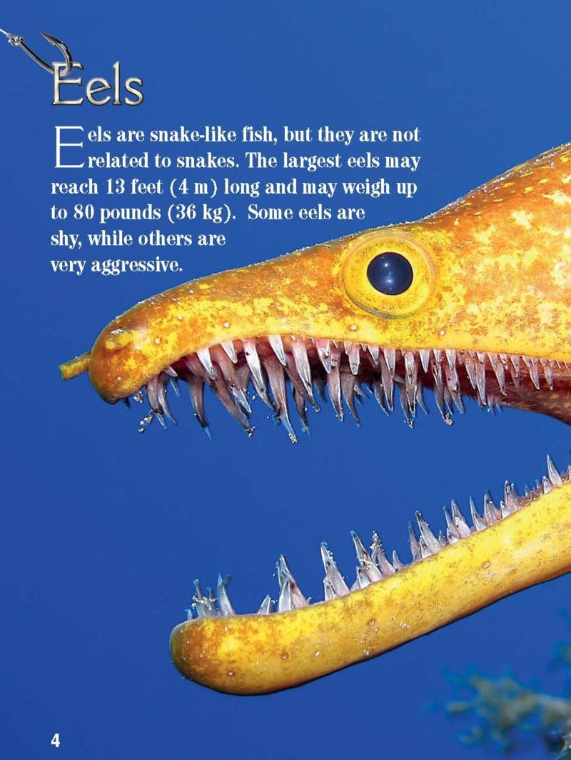 Xtreme Fish: Eels — page 1