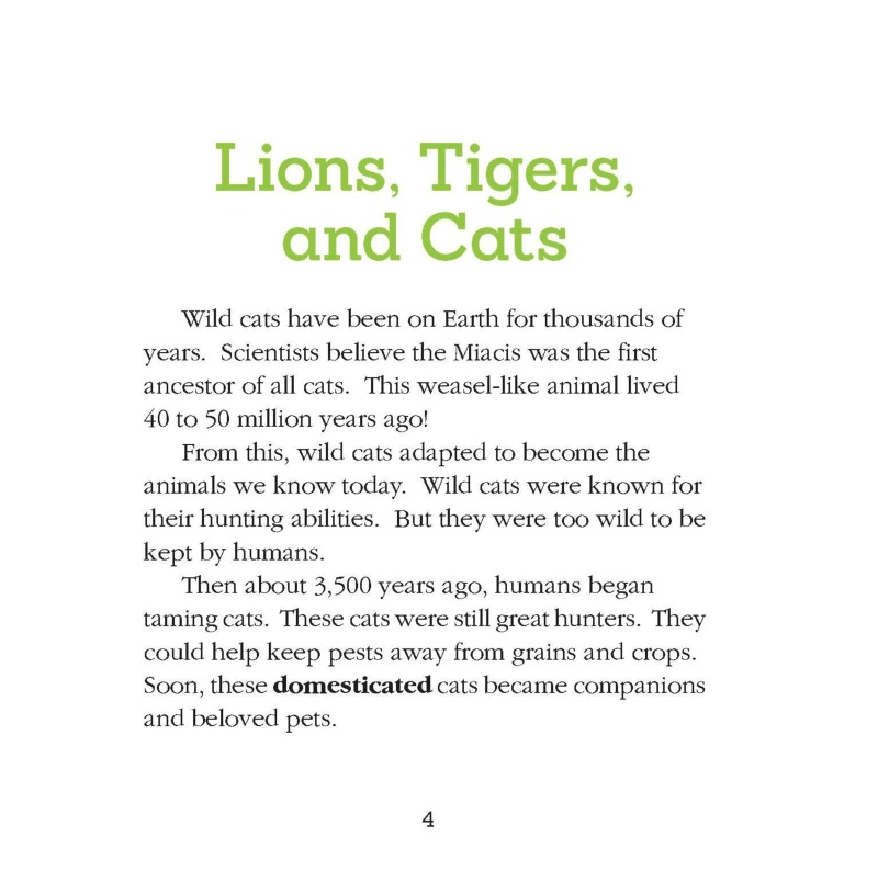 Devon Rex Cats — page 1