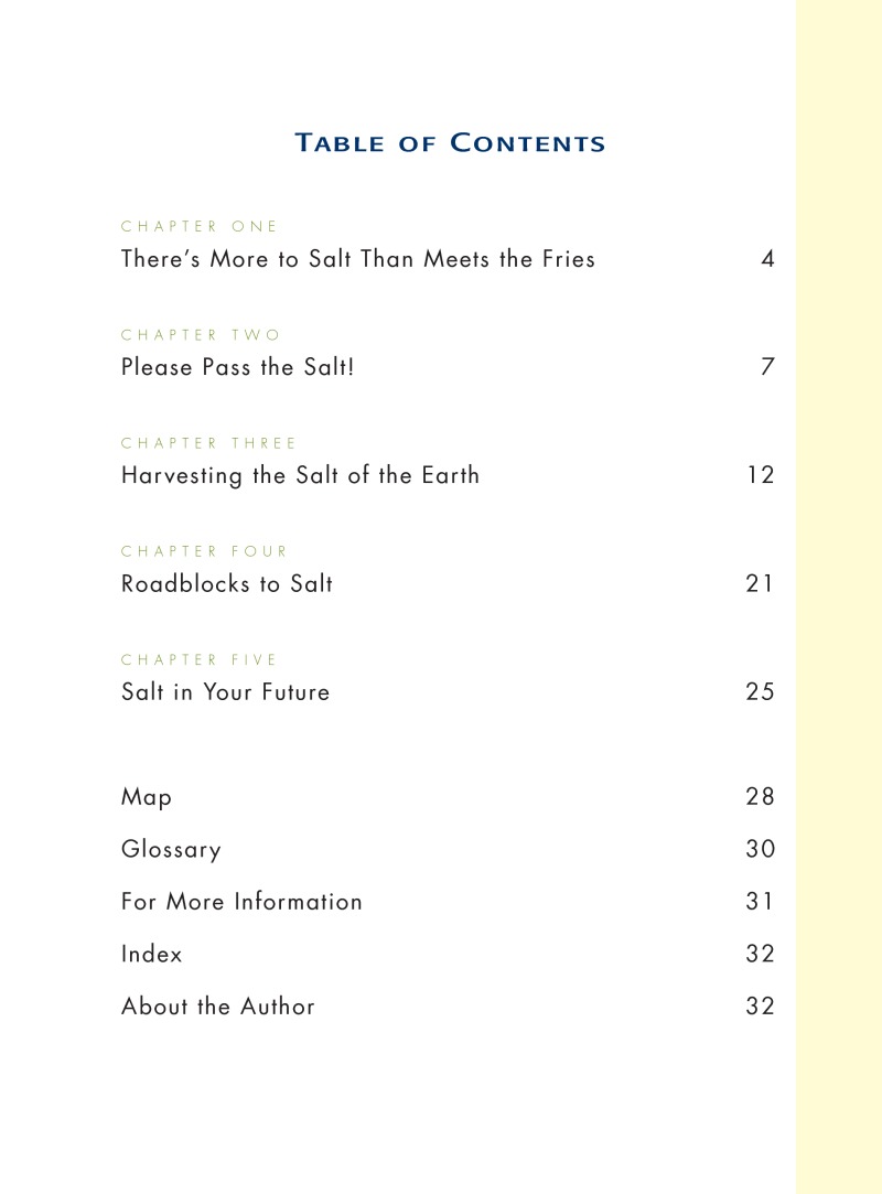 Global Products: Salt book cover