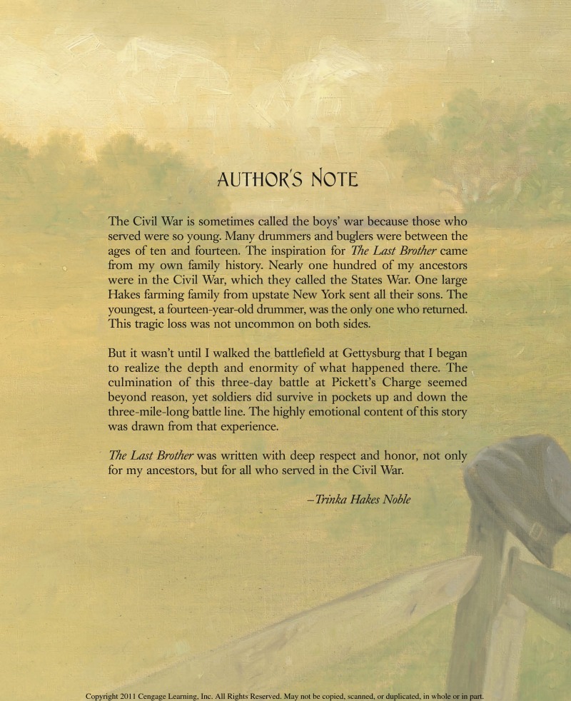 The Last Brother: A Civil War Tale book cover