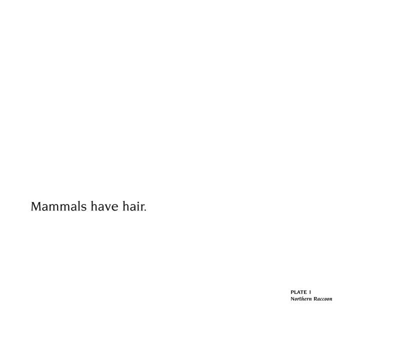 About Mammals: A Guide For Children — page 1