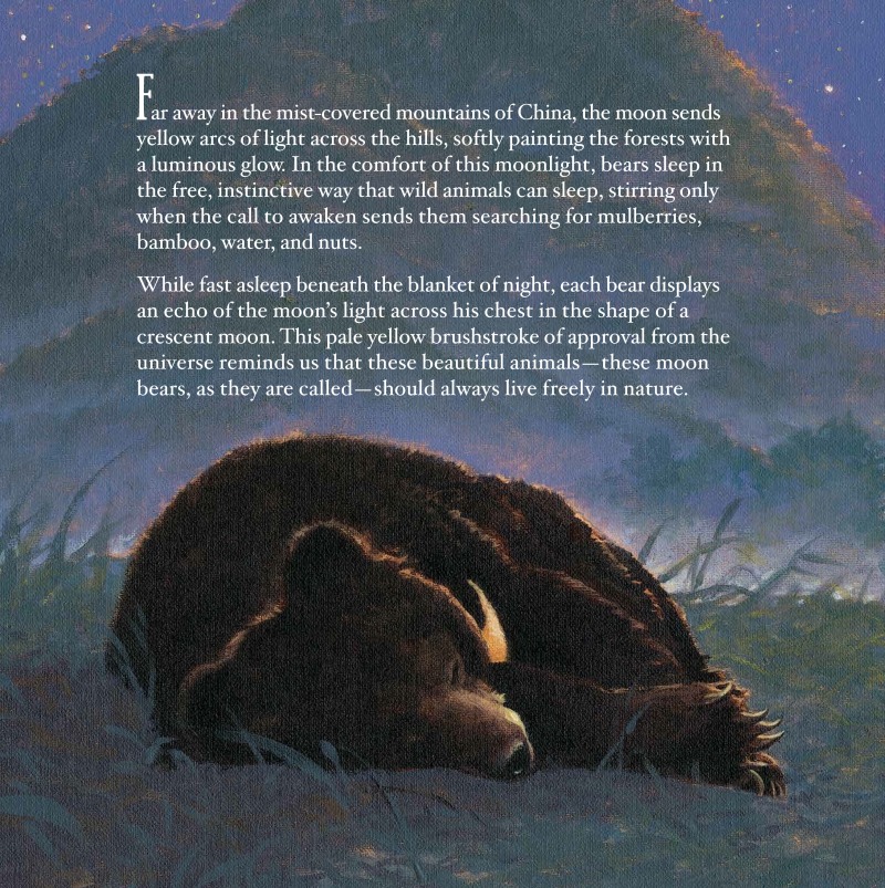 Jasper's Story: Saving Moon Bears — page 1