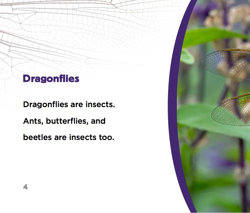 Dragonflies — page 1