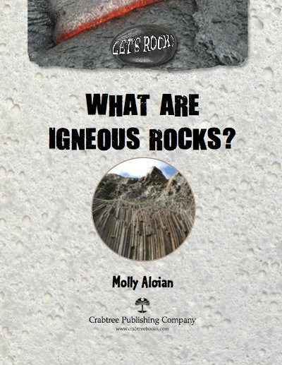 What Are Igneous Rocks? book cover