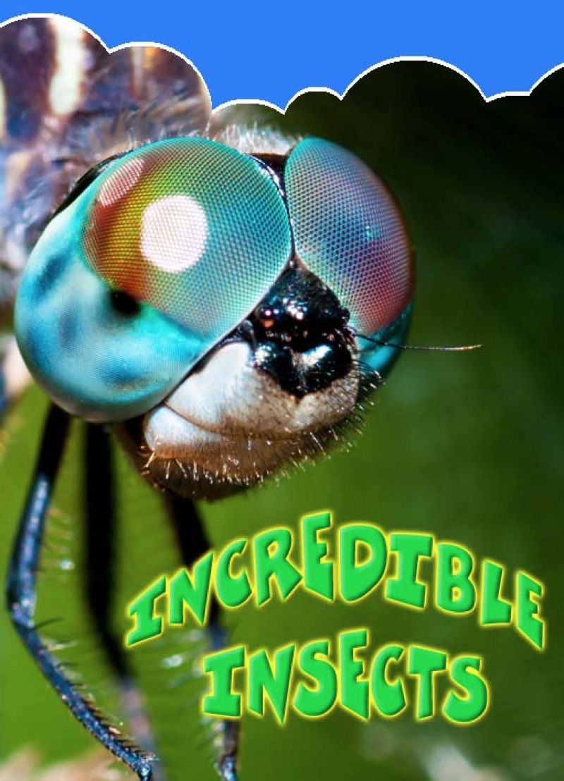 Incredible Insects book cover