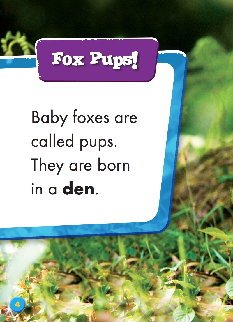 Super Cute! Baby Foxes — page 1