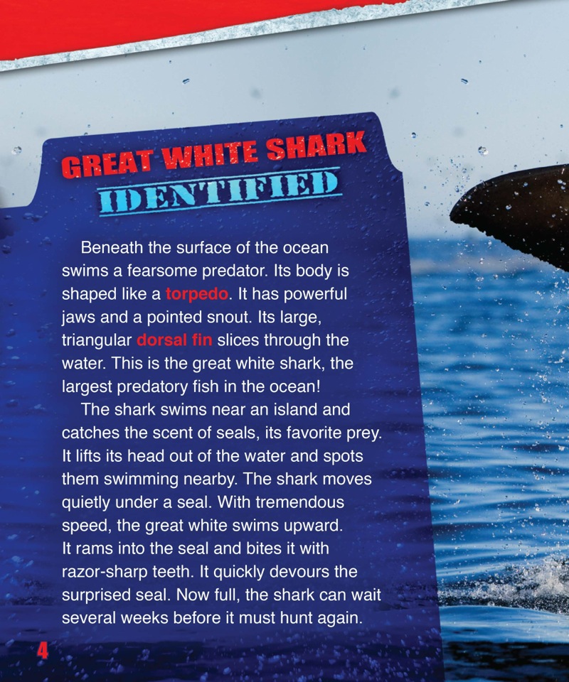 Shark Fact Files: The Great White Shark — page 1