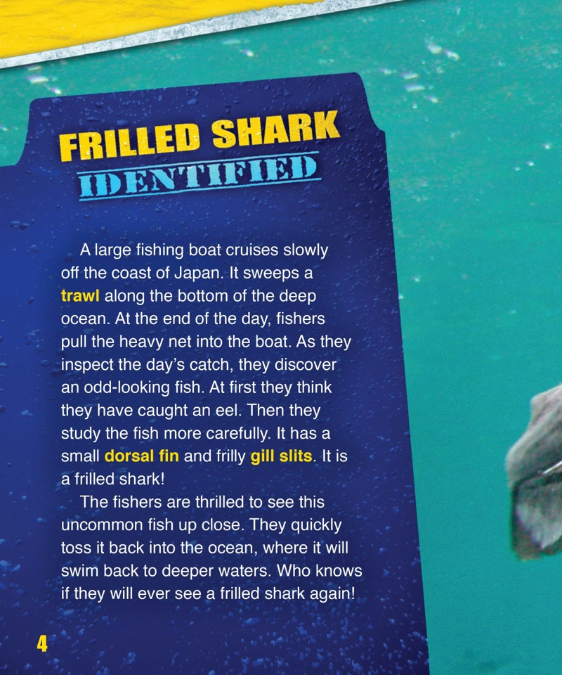 Shark Fact Files: The Frilled Shark — page 1