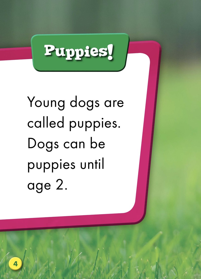 Super Cute! Baby Dogs — page 1