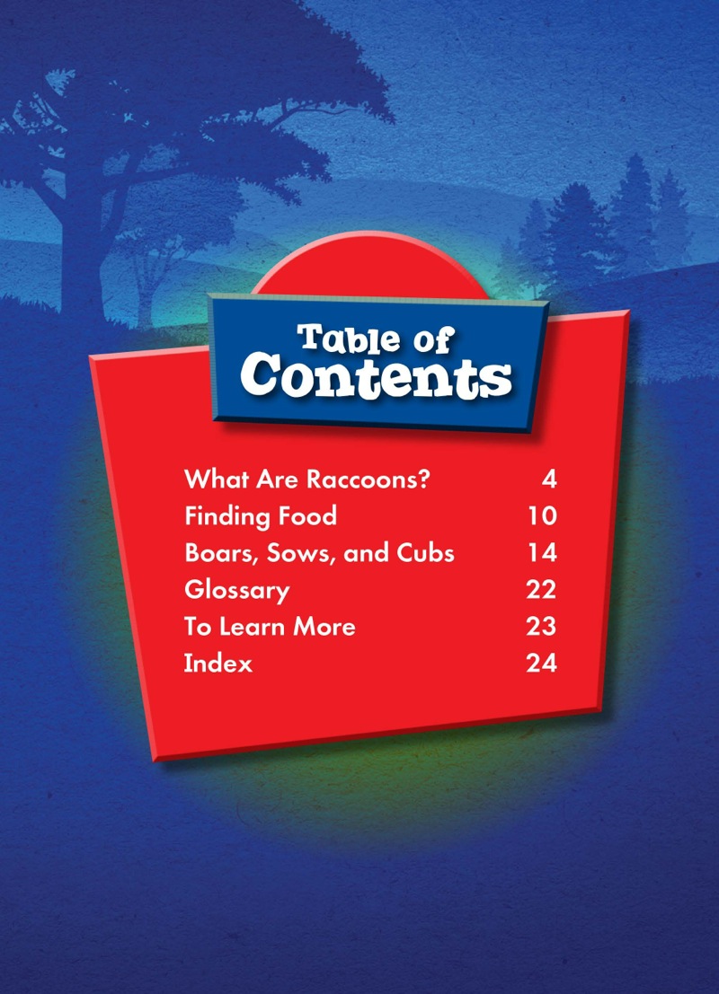 North American Animals: Raccoons book cover