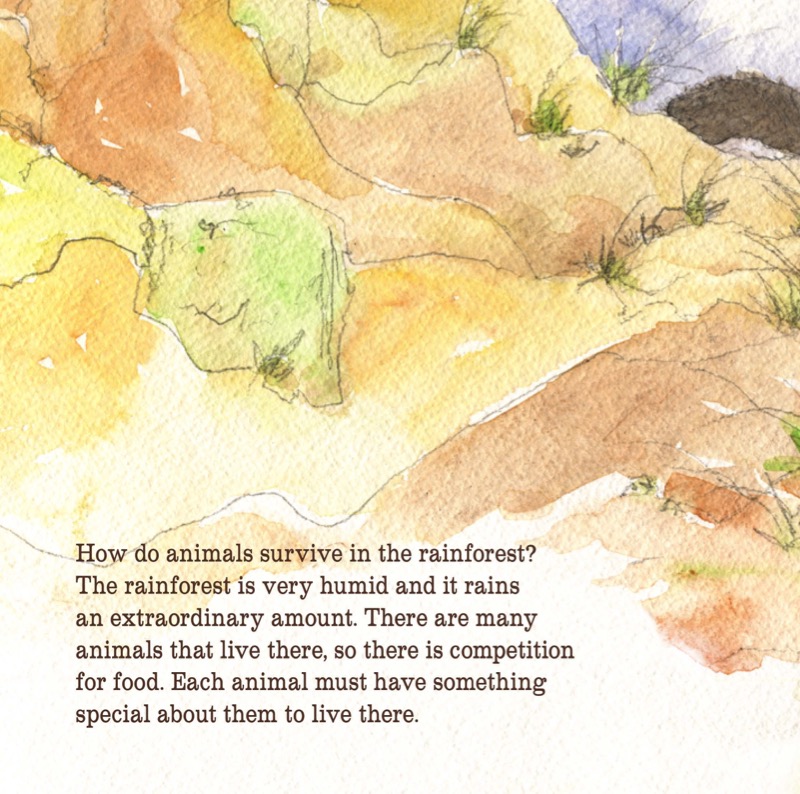 Why Do Bush Babies Have Huge Eyes? — page 1