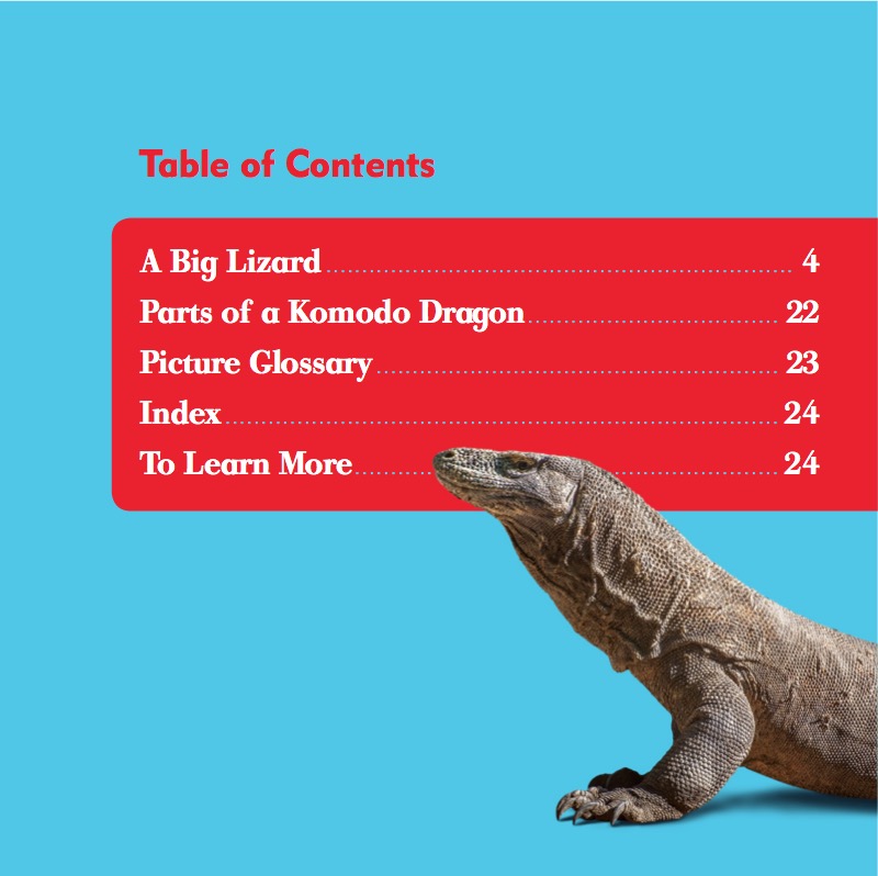 Reptile World: Komodo Dragons book cover