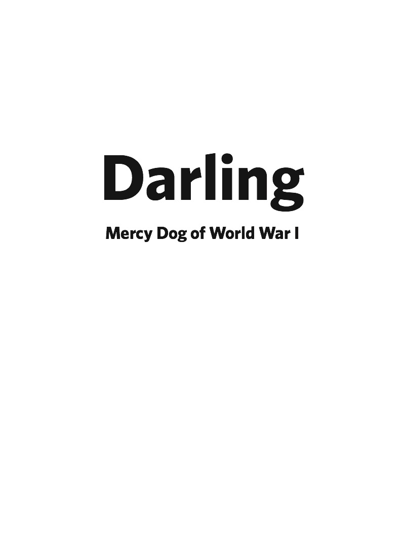 Darling, Mercy Dog of World War I book cover