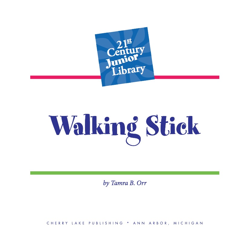 Walking Stick book cover