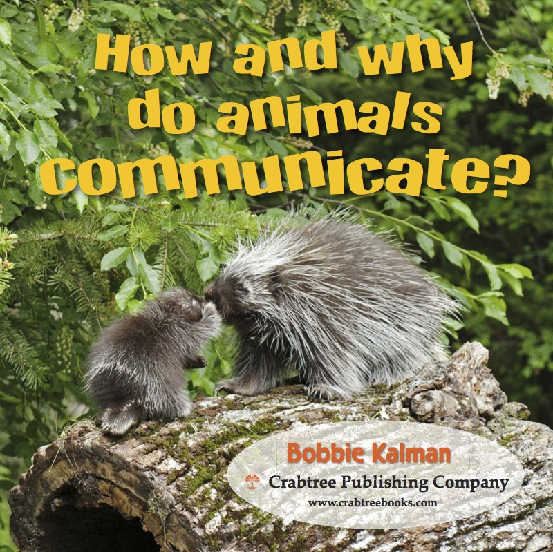 How and why do animals communicate? book cover