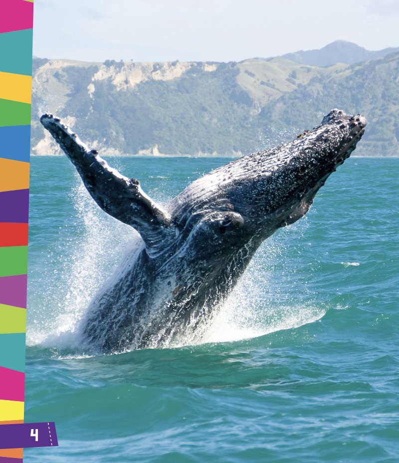 Under The Sea 1,2,3: An Ocean Counting Book — page 1