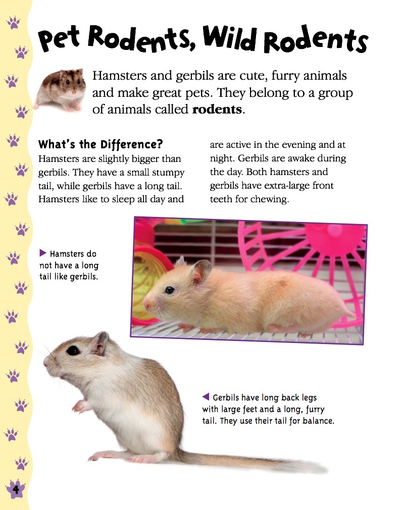 Gerbils and Hamsters — page 1