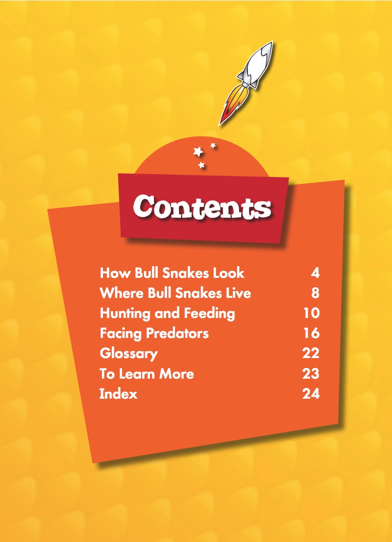 Bull Snakes book cover