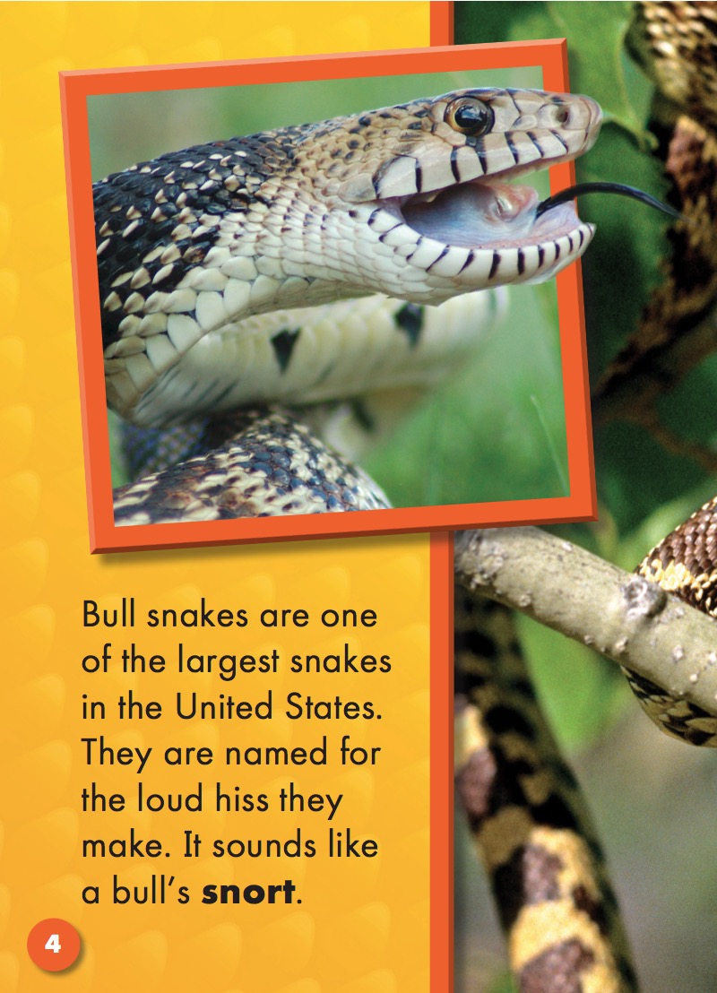 Bull Snakes — page 1