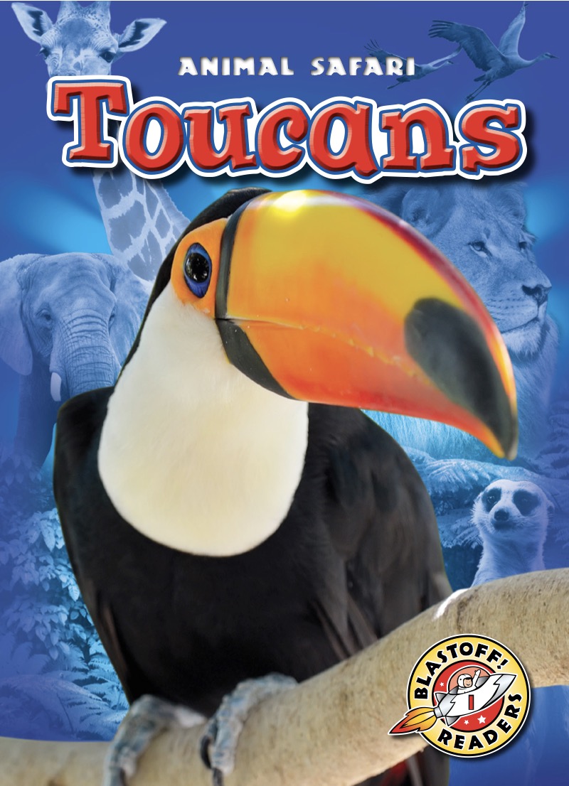 Toucans book cover