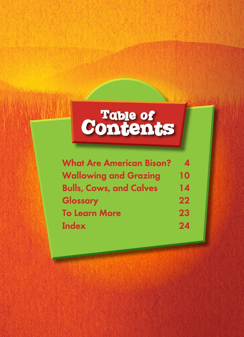 American Bison book cover