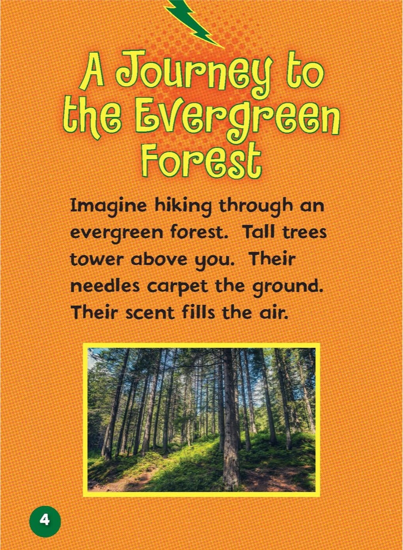 Let's Visit the Evergreen Forests — page 1