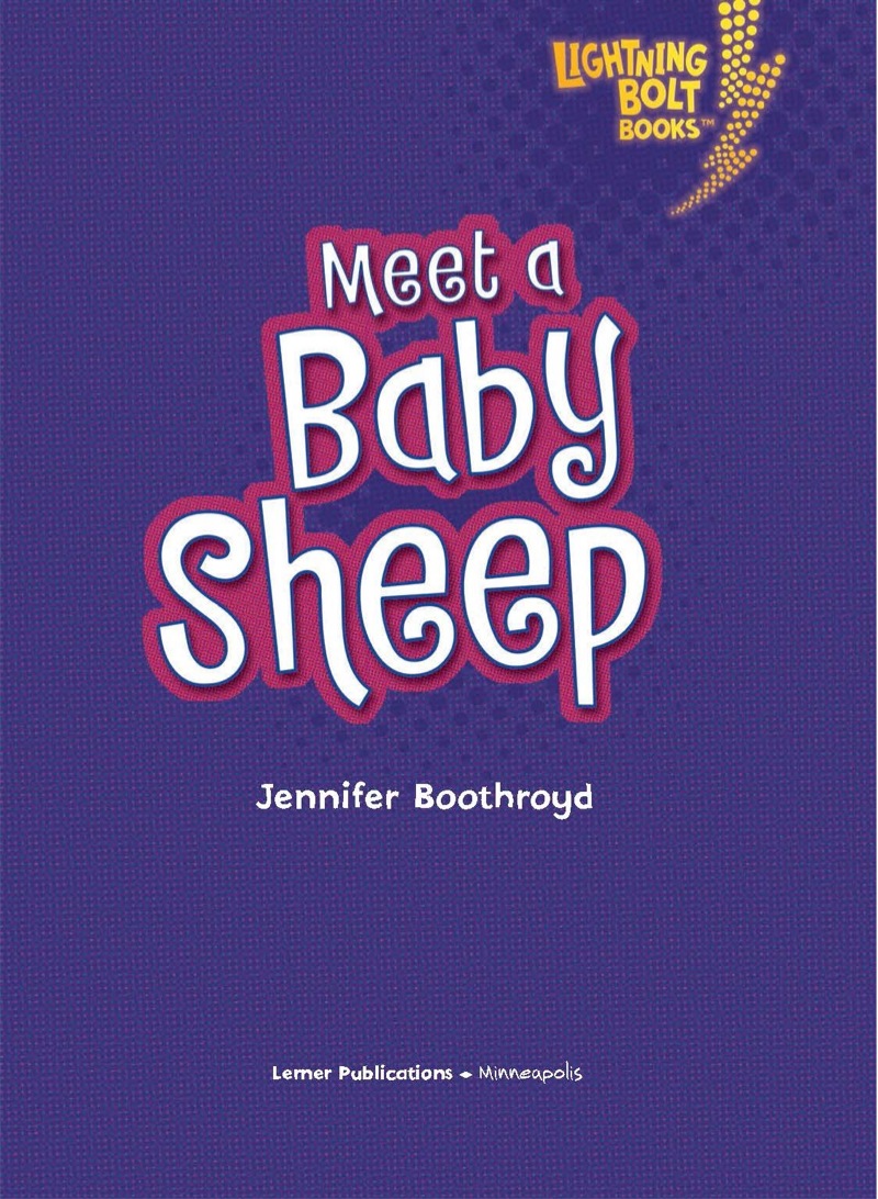 Meet a Baby Sheep book cover