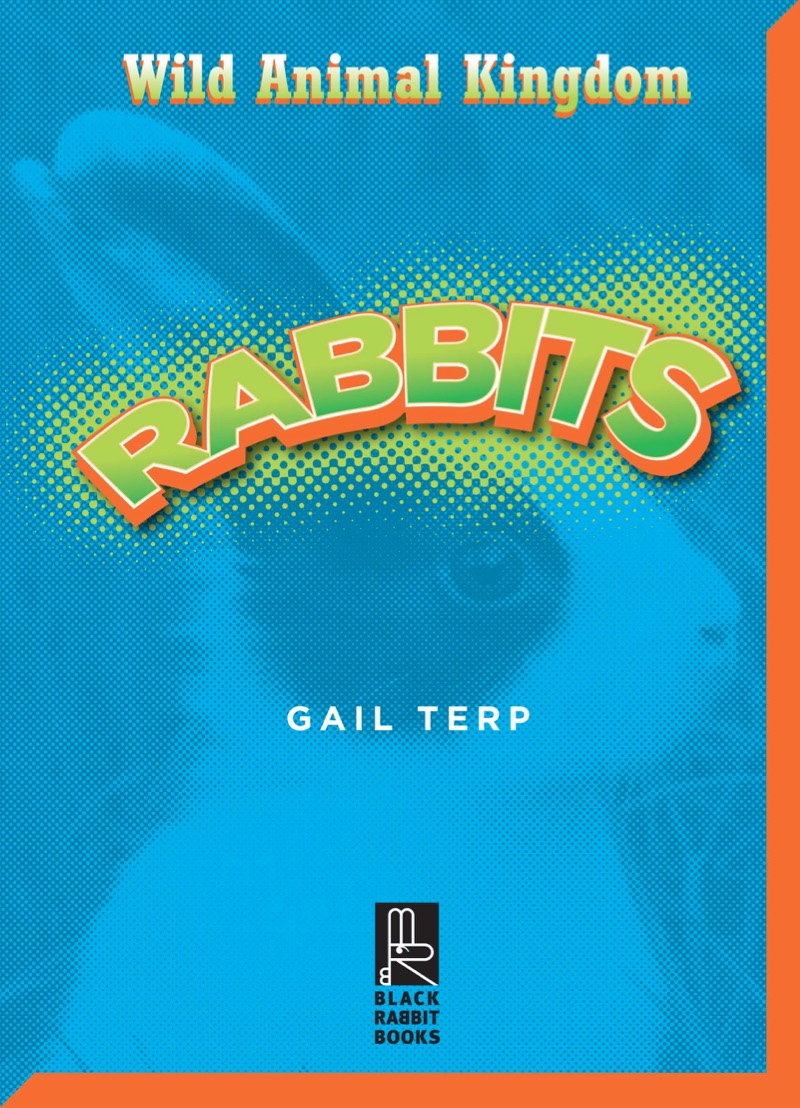 Rabbits book cover