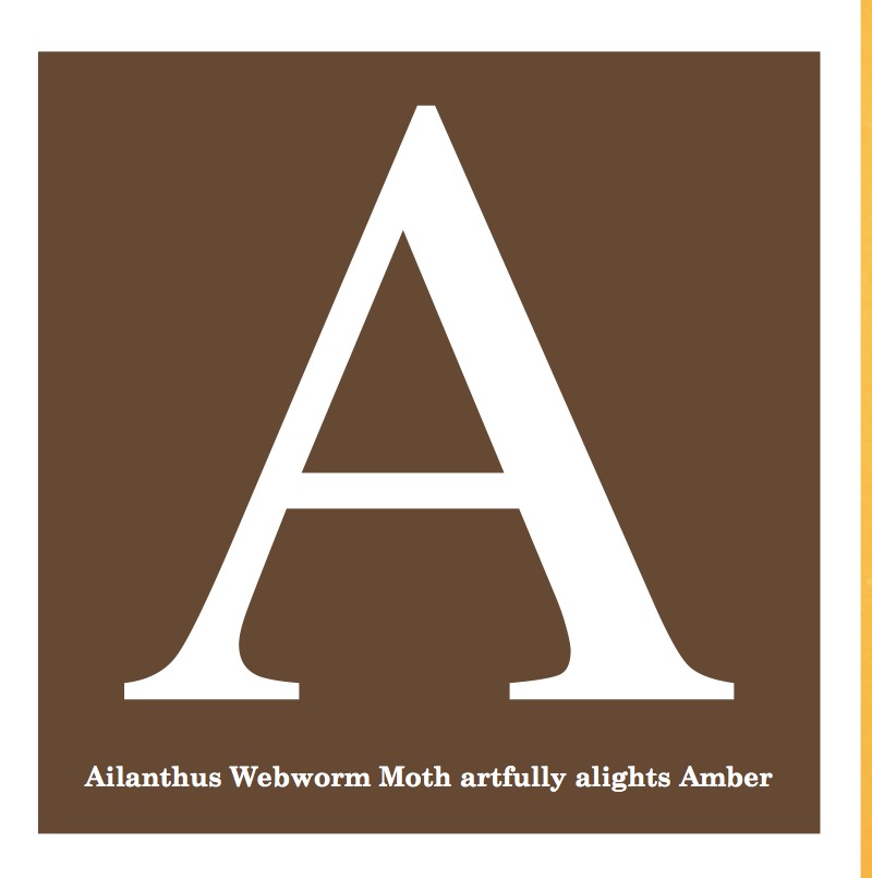 The Alphabet of Bugs — page 1