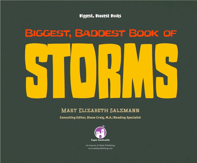 Biggest, Baddest Book of Storms book cover