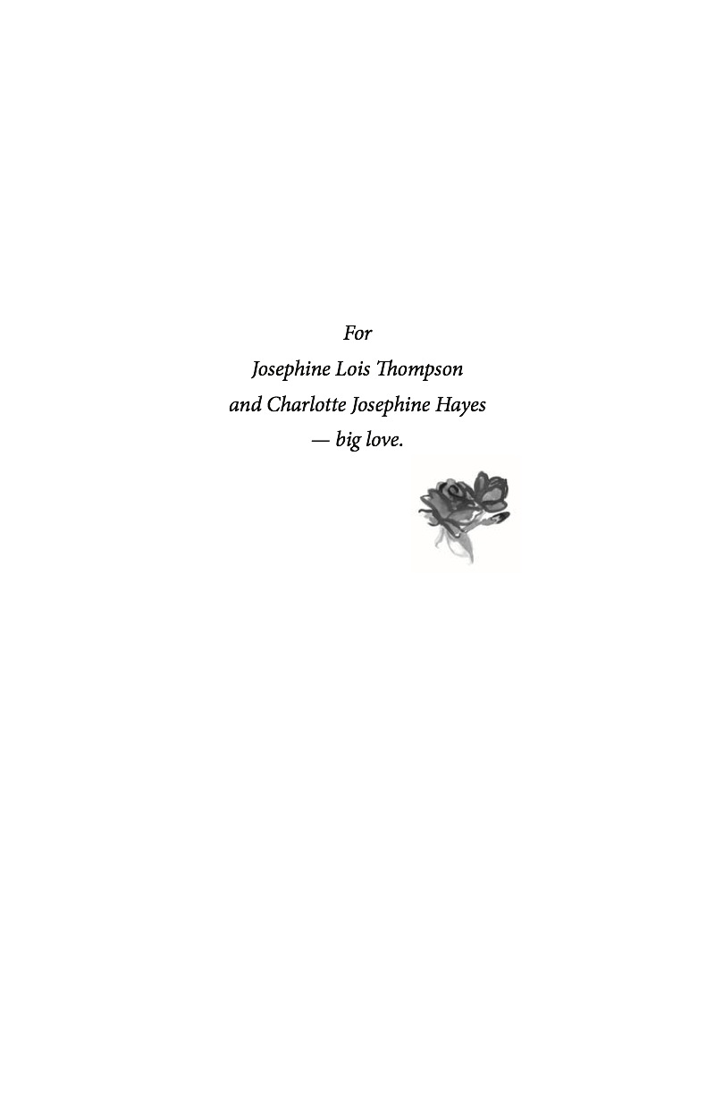 Lily in the Mirror book cover