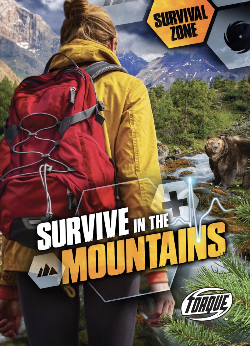 Survive in the Mountains book cover