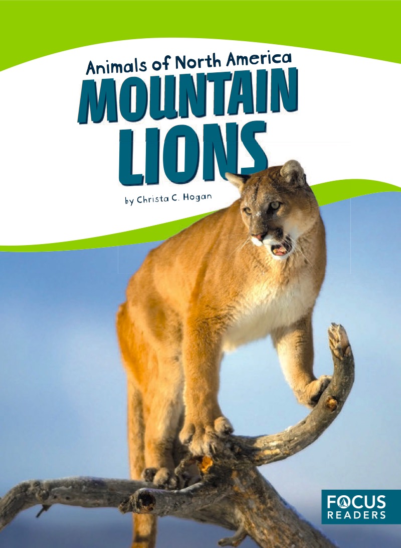 Mountain Lions book cover
